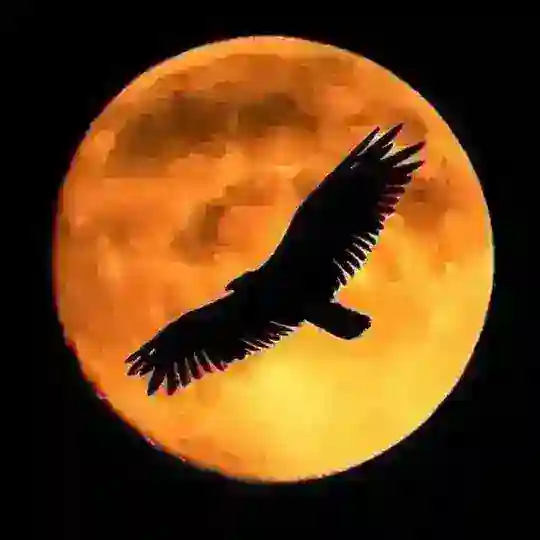 Живые крылья🪶 Telegram Channel Avatar