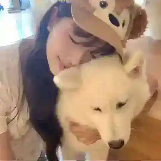 🐰嚕嚕的秘密基地 Telegram Channel Avatar