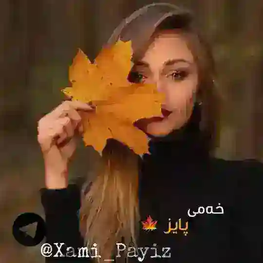 - خەمی پایز ،🍁 Telegram Channel Avatar