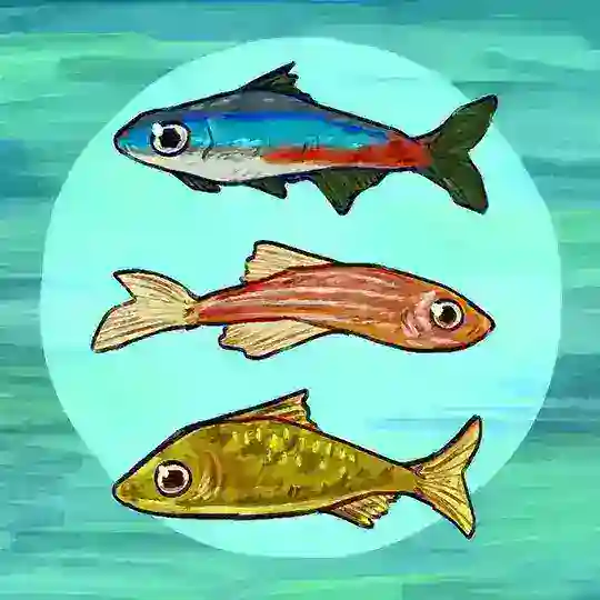 дверь без ручки (2.0) Telegram Channel Avatar