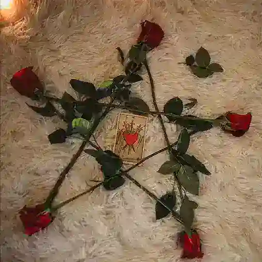 alice love spells Telegram Channel Avatar