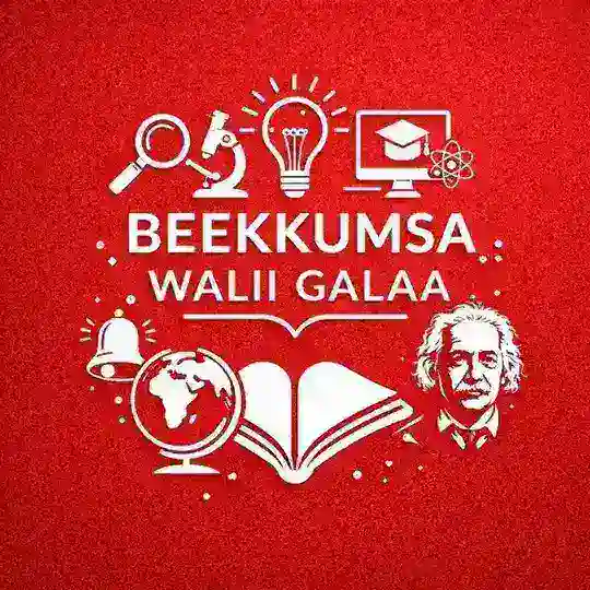 BEEKKUMSA WALII GALAA 📖 Telegram Channel Avatar