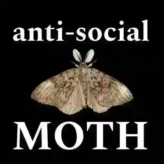 [Рест] Мотылёк из бездны Telegram Channel Avatar