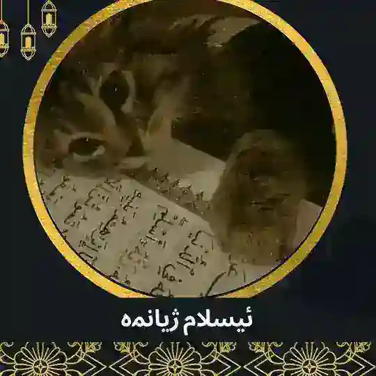 ئـیسلام ژیـانـمـە🤍🕋🦋 Telegram Channel Avatar