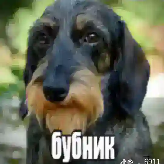гастицид Telegram Channel Avatar
