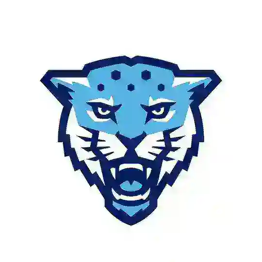 Спортивный хакинг (CTF) | Кронверкские барсы | ИТМО Telegram Channel Avatar