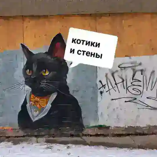 котики и стены Telegram Channel Avatar