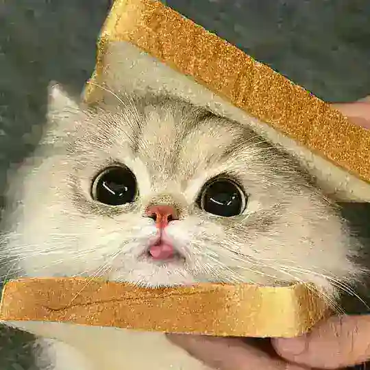 ♡Котики♡ Telegram channel photo