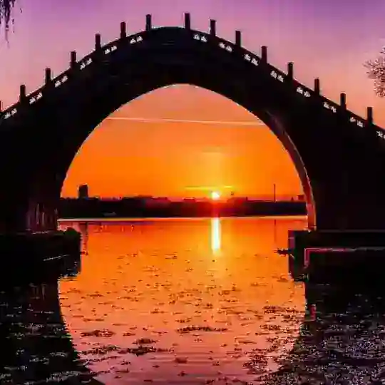 迷迷糊糊 Telegram Channel Avatar