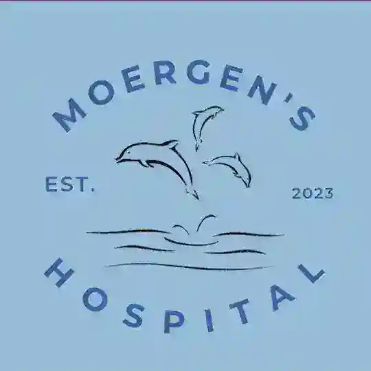 ROMBAK SAYANG || 𝐌oergen's 𝐇ospital 🐬 Telegram Channel Avatar