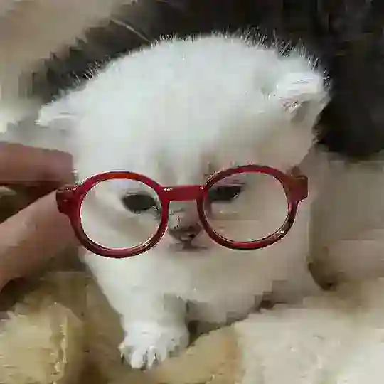 moka ♡ cats & craft Telegram channel