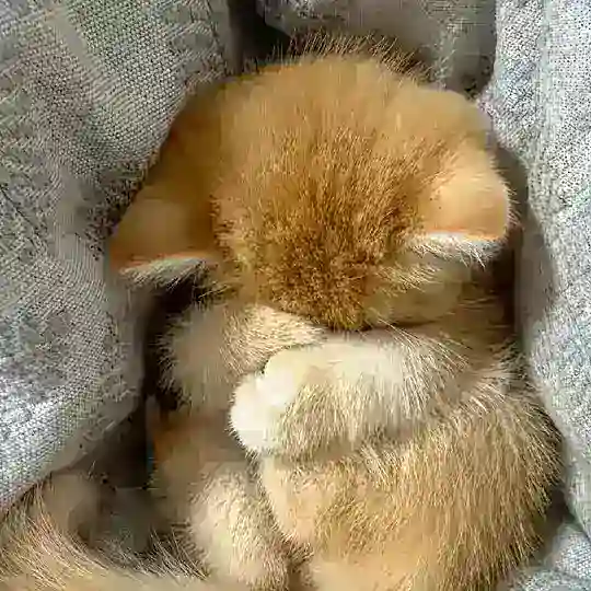 沐沐的浴室 Telegram Channel Avatar
