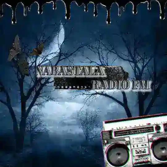 𝐍𝐀𝐁𝐀𝐒𝐓𝐀𝐋𝐀 𝐑𝐀𝐃𝐈𝐎 𝐅𝐌 📻🎙(hirmin) Telegram Channel Avatar