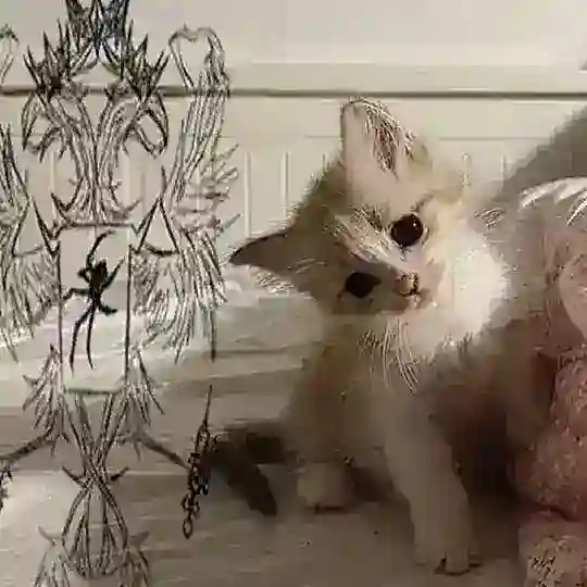 не симочка™ Telegram Channel Avatar