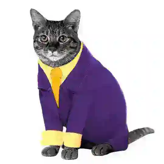 👀ᴋ∅тᴀᴋᴧиɜʍ!! —ᵗᵍᵏ|nᴀf Telegram channel