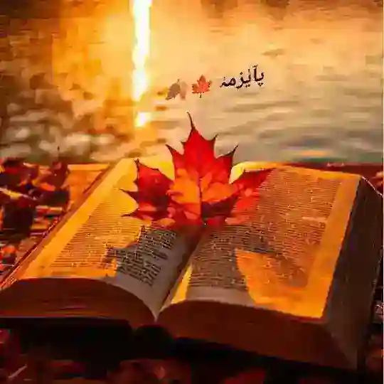 پآيٰزمہٰ 🍁🍂 Telegram Channel Avatar