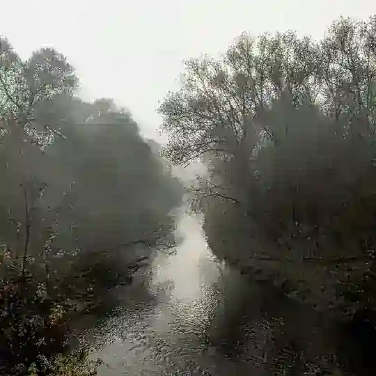 В фокусе <3 Telegram Channel Avatar