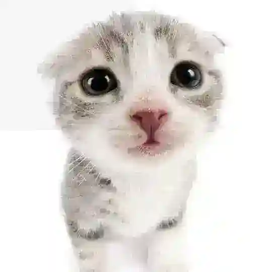ОКОШКИ ДЛЯ МОДЕЛЕЙ Telegram Channel Avatar