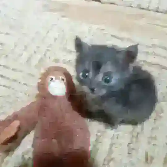 $hittpostливетопийский Telegram Channel Avatar