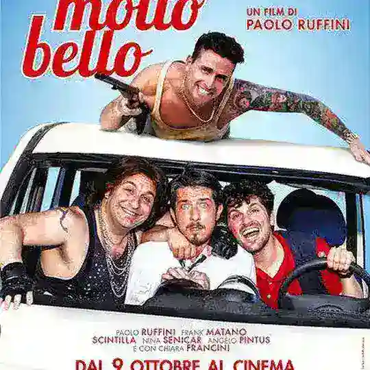 Tutto molto bello FILM Telegram Channel Avatar