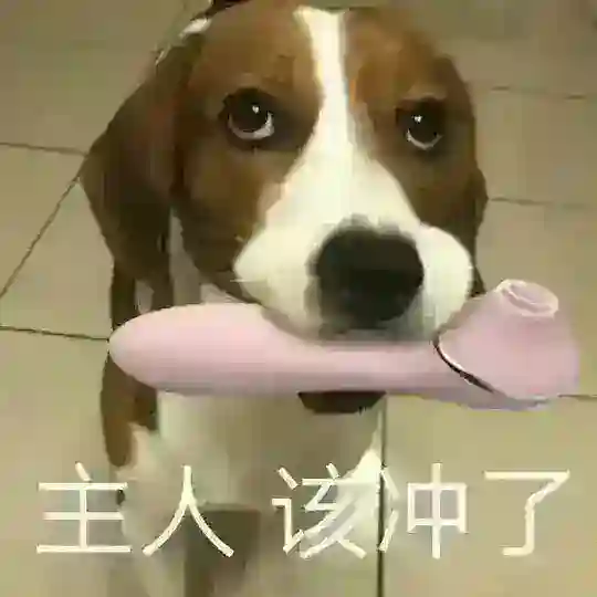 上海会所学院(SPA、商K) Telegram Channel Avatar