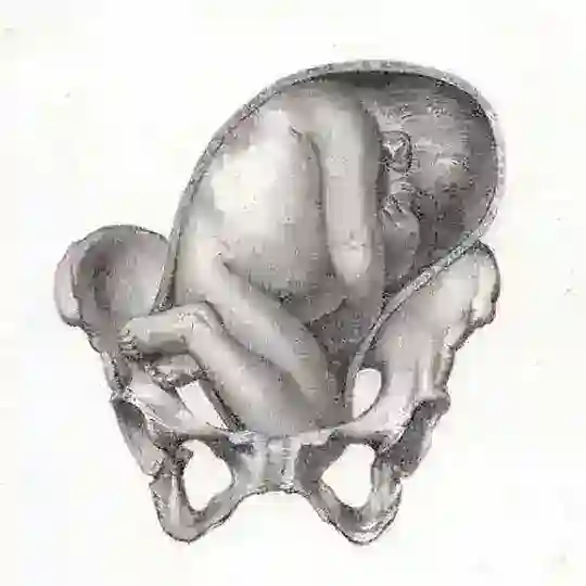 Λόγος της Γυναικός Telegram channel