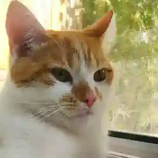 фан клуб киану ривз Telegram Channel Avatar