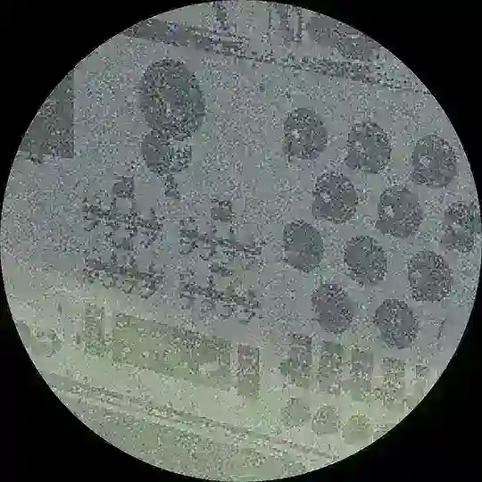 Sisters with transistors Telegram Channel Avatar