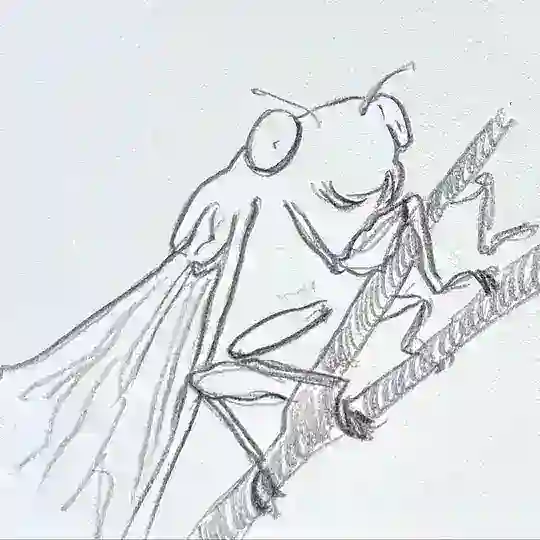 Вава Telegram Channel Avatar