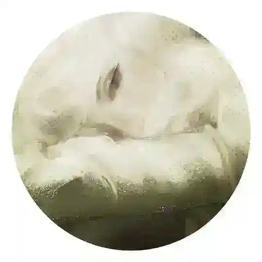@. §𝘁𝗿𝗹ɨ𝓖𝗵𝘁 ˙ Telegram channel