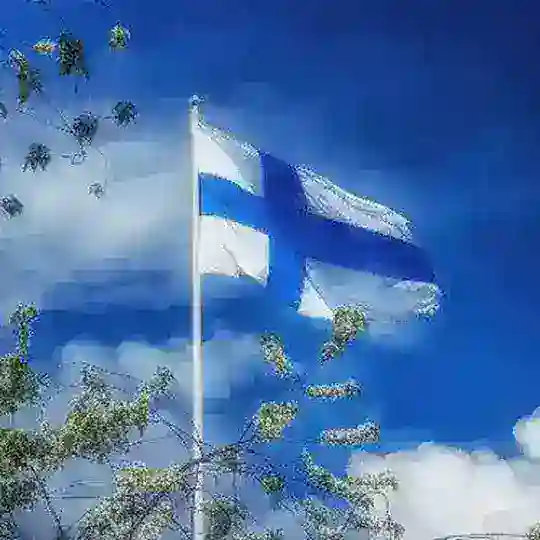 🇫🇮🇫🇮🇫🇮 Telegram Channel Avatar