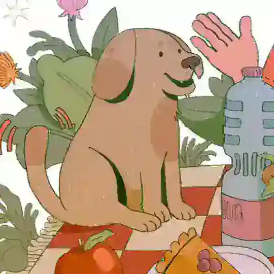 canciqer Telegram Channel Avatar