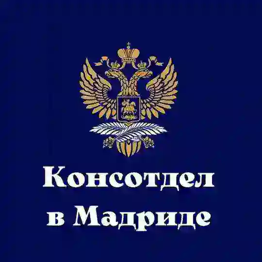 Консотдел в Мадриде Telegram Channel Avatar