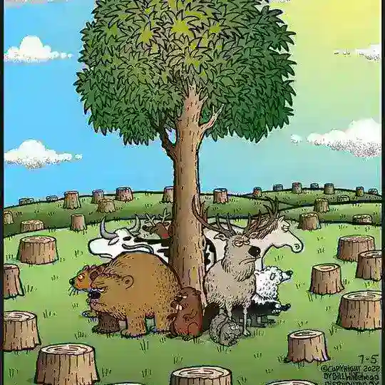 Für die Natur und für das Leben Telegram Channel Avatar