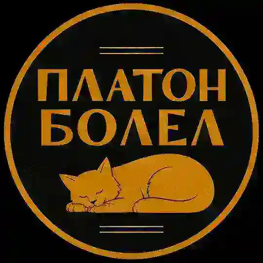 Платон болел Telegram Channel Avatar