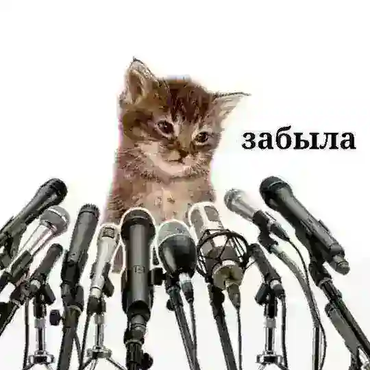 𝑪𝒉ℯ𝒓𝒓𝓎´ᵛᵒˡᵘᵖ` Telegram channel
