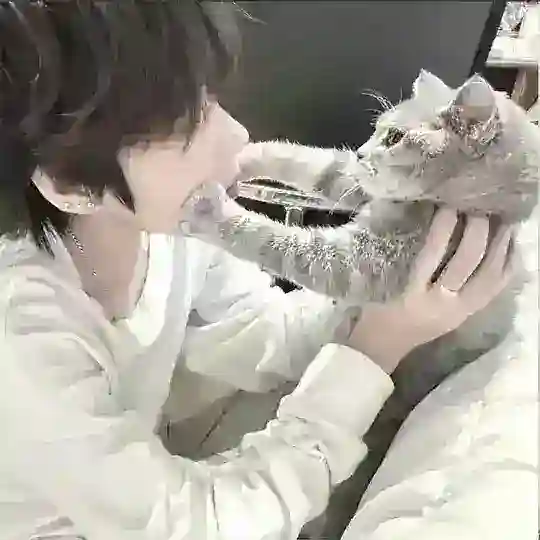 一半一半 Telegram Channel Avatar
