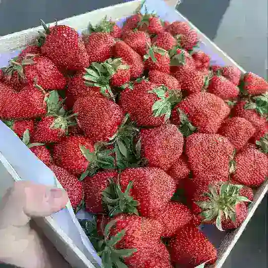 Вкусный мир 😋