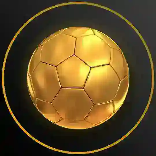 Satoshi World Cup | SAFU & KYC & Audit