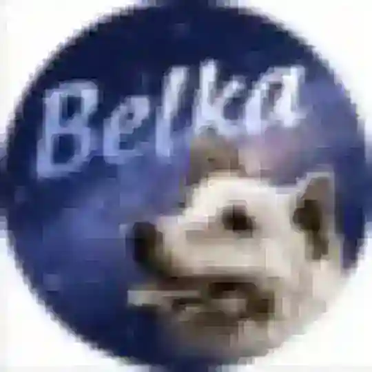 Belka [OLD] (BLK)
