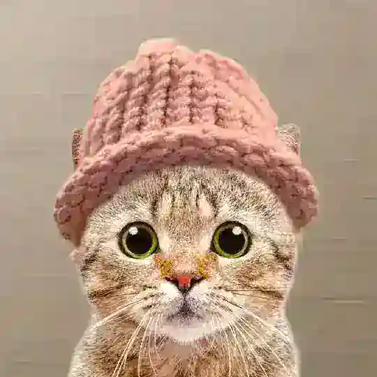 CatWifHat | TradeMark ™️ $CatWif