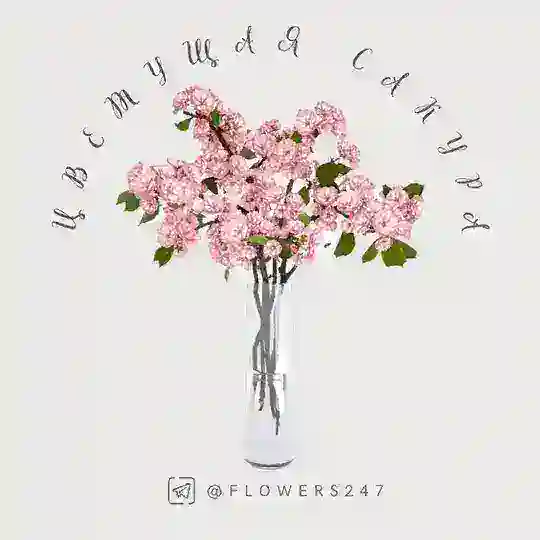 Цветы Ташкент Цветущая Сакура "Онлайн магазин"