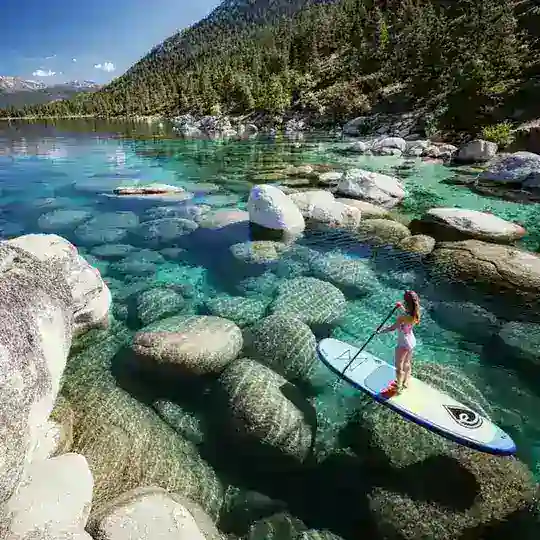 Пиар бесплатный | PR Free