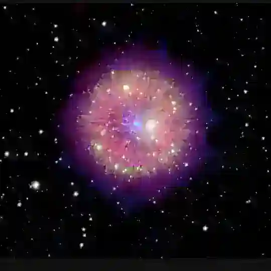 Agents Of Truth Chat Group