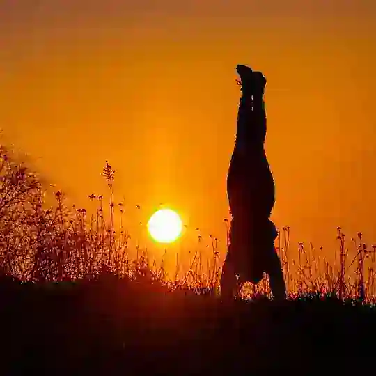 Lebe Liebe Lache Chat