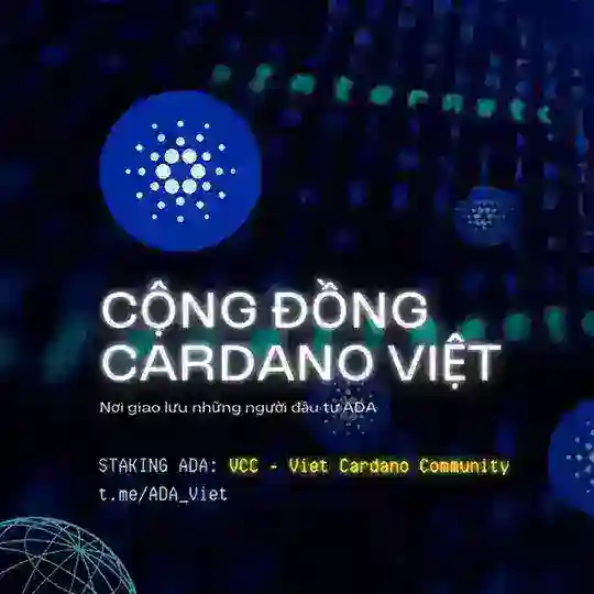 Cardano ADA Việt Nam - VCC pool