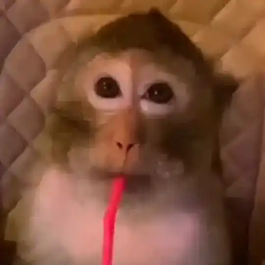 Adopt Me~Murder Mystery