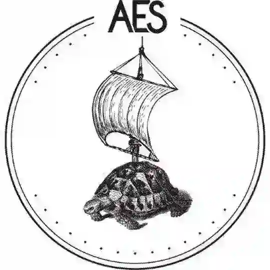 Aes Borsa
