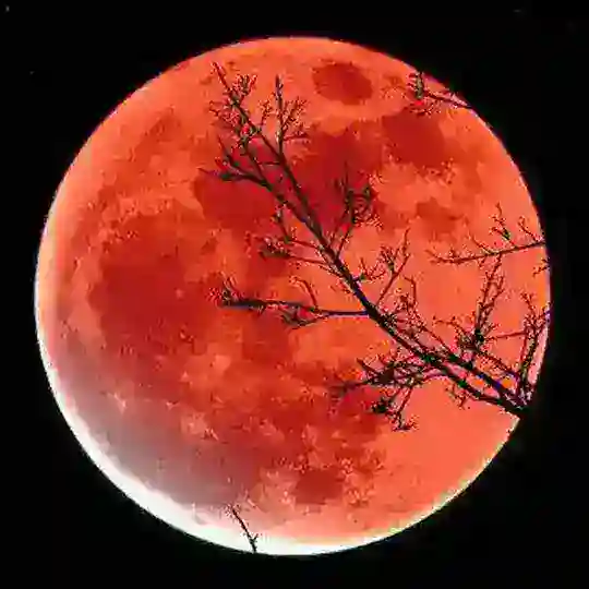 آدرنالین