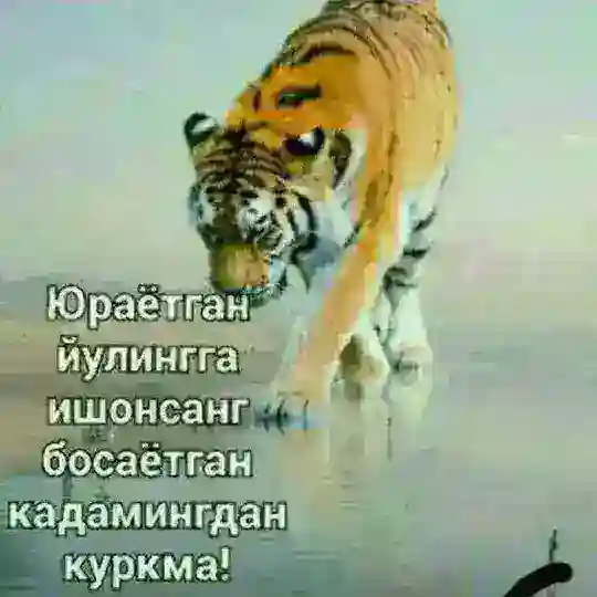 Baxtingni top